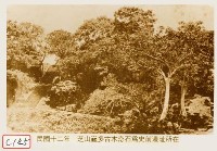 芝山巖多古木奇石為史前遺跡所在藏品圖，第1張