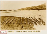 公學校學生在淡水浴場作海灘教育藏品圖，第1張