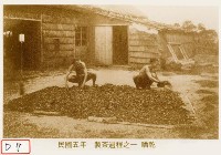 製茶過程之一晒乾藏品圖，第1張