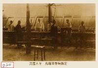 烏龍茶香味鑑定藏品圖，第1張