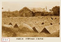 菸葉乾燥屏藏品圖，第1張