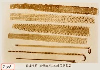 蛇皮及其製品藏品圖，第1張