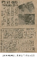 想兄譜藏品圖，第1張