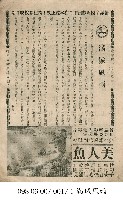 美人魚藏品圖，第1張
