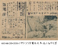 孟加拉槍騎兵(ベンガル槍騎兵)藏品圖，第1張