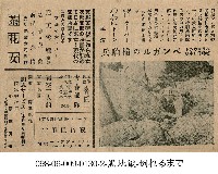 茶花女(茶花女)藏品圖，第1張