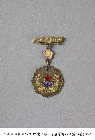 愛國婦人會壹等有功章藏品圖，第1張