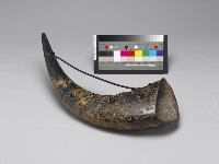 牛角吊飾花器藏品圖，第1張