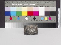 腰帶頭藏品圖，第1張