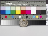 紀念章藏品圖，第1張