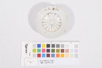 日軍在台從軍紀念杯（日軍在臺從軍紀念杯）藏品圖，第1張