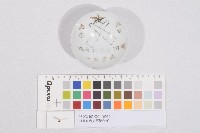 日軍在台從軍紀念杯（日軍在臺從軍紀念杯）藏品圖，第1張