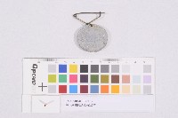 第五回國勢調查-紀念章藏品圖，第1張