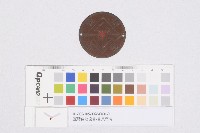 臺灣自治協會-會員門牌藏品圖，第1張