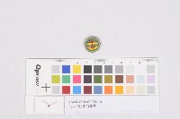 北斗街庄吏員徽章藏品圖，第1張