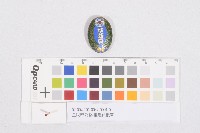 皇民奉公會-推進員徽章藏品圖，第1張