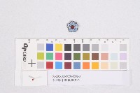 奉公狀年團-團員徽章(奉公壯年團-團員徽章)藏品圖，第1張