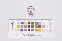 高雄市旭青年團勤勞奉仕隊-參加章藏品圖，第1張