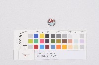 臺北州國防義會-會員章藏品圖，第1張