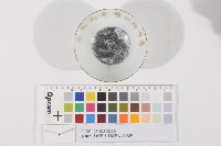 官幣大社臺灣神社鎮座式-紀念杯藏品圖，第1張