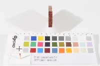 登記出張所-事務印章藏品圖，第1張