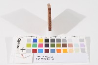登記出張所-事務印章藏品圖，第1張