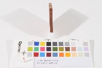 登記出張所-事務印章藏品圖，第1張