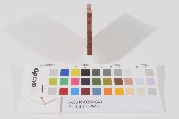 登記出張所-事務印章藏品圖，第1張