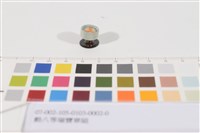 勳八等瑞寶章組藏品圖，第2張