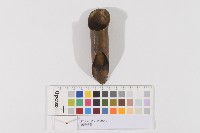 護手指套藏品圖，第1張