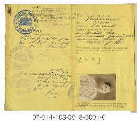 張氏玉鸞登坡字出入東印度屬地護照(證明書)藏品圖，第3張