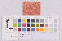 車票藏品圖，第1張