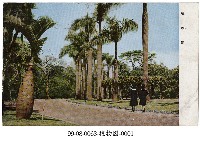 臺北植物園藏品圖，第1張