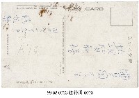 臺北植物園藏品圖，第2張