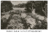 私立淡水高等女學校花壇藏品圖，第1張