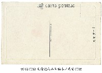 能高山上盛開的石楠木藏品圖，第2張