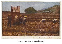 稻穫藏品圖，第1張