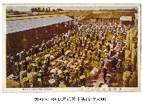 臺中香蕉市塲藏品圖，第1張