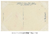 臺北植物園椰子樹林藏品圖，第2張