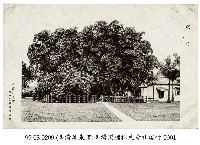 屏東市臺灣製糖株式會社瑞竹藏品圖，第1張