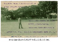 臺南公園裡的榕樹藏品圖，第1張