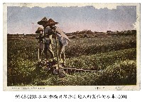 水車藏品圖，第1張