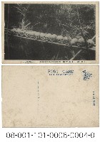 臺灣原住民骨棚藏品圖，第1張