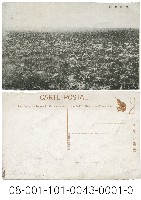 崙背原野藏品圖，第1張