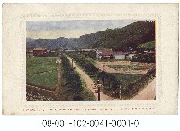 臺灣總督府農事試驗所藏品圖，第1張