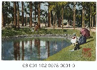 （臺北）植物園藏品圖，第1張