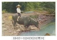 牧童藏品圖，第1張