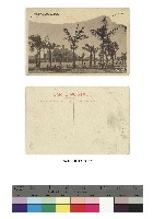 日治時期明信片-臺中停車場 椰子の蔭藏品圖，第1張