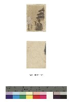 日治時期明信片-紅い睡蓮藏品圖，第1張