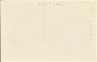 【草山溫泉】-明信片（草山溫泉路傍にほころ柘楠花）藏品圖，第2張